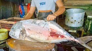 EXPERT FISH CUTTER || TUNA FISH CUTTING & SLICING IN FISH MARKET || ASMR FOOD IN SEASON 2024