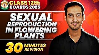 Sexual Reproduction in Flowering plants |Class 12| Quick Revision in 30 Minutes |CBSE|Sourabh Raina