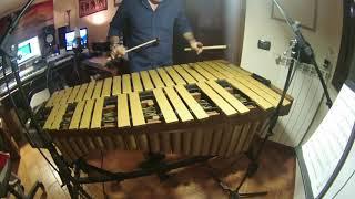 VIBRAPHONE #mallets Daniele Di Gregorio Signature Series DG22 by APinstrument