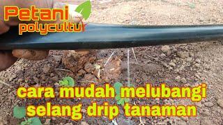 cara melubangi selang drip atau drip irigation tanpa plastik mulsa (bag 4)