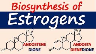 Estrogens - Biosynthesis and chemical synthesis