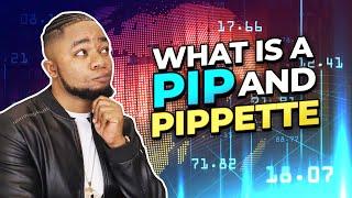 Lesson 7: What is a PIP In FOREX and How To Calculate a Pip FX107