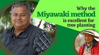 Why the Miyawaki method is excellent for tree planting?