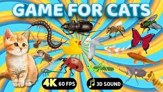 BEST CAT GAMES | Ultimate GAME Compilation for Cats and Dogs Vol 8 | 8 HOURS | NO ADS 