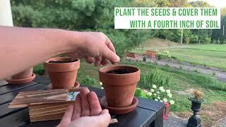 Planting The Garden Republic Culinary Herb Seed Set