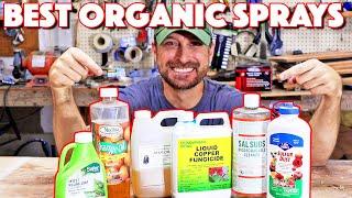 Organic Pest Control For Vegetable Garden! My TOP 8 Go To Sprays!