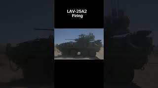 LAV 25 firing #lav #tank #afv #stryker #tankbattle #anoa #badak #pindad #panzer #戦車 #schütze