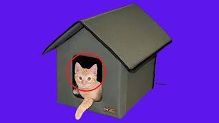 Before You Buy K&H PET PRODUCTS Outdoor Heated Kitty House Cat Shelter