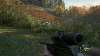 theHunter: Call of the Wild Бизон отомстит обязон!