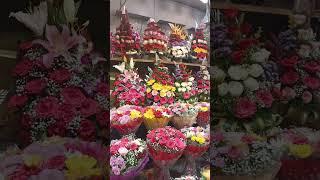 Beautiful Flowers Bokeh #viral #shorts #subscribe