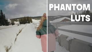 The ONLY Video LUTs You Will Ever Need | Phantom LUTs Review