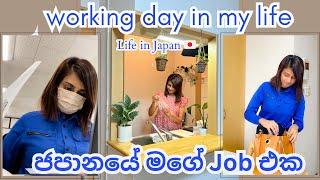 Life in Japan| ජපානයේ මගේ Job එක | Working day in my life | මම කොහොමද ජපානයේ Uni එකට apply කරේ?