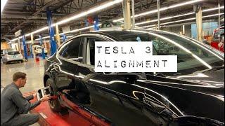 Tesla 3 alignment