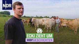 Eine neue Weide für die Tiere | Hofgeschichten: Leben auf dem Land (300) | NDR