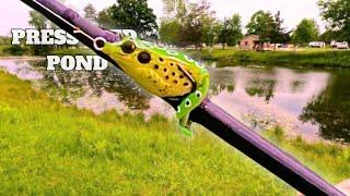 SIZING DOWN FROG For Early SUMMER FISHING_POCKET FROG TOPWATER EXPLOSION