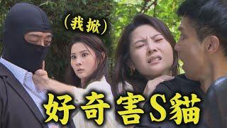 【願望】EP45 世賢以聘金為由低價購入周家的地 冠傑自願去救人!珍妮見到發哥真面目險被滅口｜完全娛樂