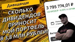 Показываю дивидендную доходность портфеля! Сколько дивидендов приносит мне 3.8млн р в акциях РФ.