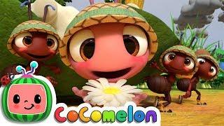 The Ants Go Marching | CoComelon Nursery Rhymes & Kids Songs