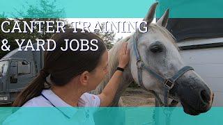 Barn vlog & gallops training - Vlog 232 - Beth Endurance