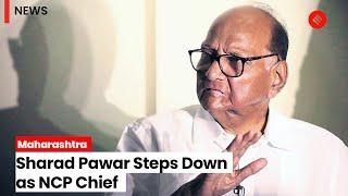 Maharashtra Politics: Sharad Pawar Steps Down As NCP Chief | Sharad Pawar Resignation