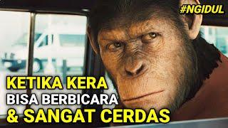 DIMULAINYA PERADABAN BARU! KERA CERDAS VS MANUSIA | #NGIDUL FILM RISE OF THE PLANET OF THE APES