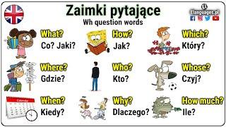 Zaimki pytające po angielsku | Pytania po angielsku co kiedy gdzie jak?