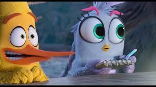 Angry Birds movie 2 clip: Secret meeting