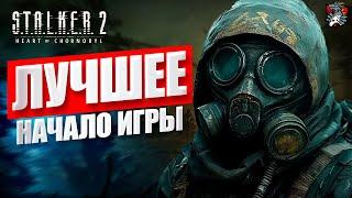 ЛУЧШЕЕ ОРУЖИЕ В НАЧАЛЕ ИГРЫ В STALKER 2