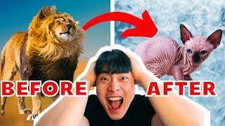 Korean GUY Trying BRAZILIAN WAXING for the FIRST time | A DAY IN MY LIFE IN KOREA