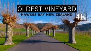 Mission Estate Winery/New Zealand's Oldest Vineyard/Napier, Hawkes Bay 4K