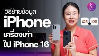 วิธีย้ายข้อมูล iPhone เครื่องเก่าไป iPhone 16 ทำตามคลิปนี้! #iMoD