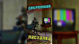 САМАЯ ЗАСЕКРЕЧЕННАЯ ПАСХАЛКА в CS:GO