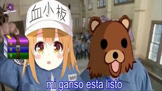 Las Lolis son Mejores