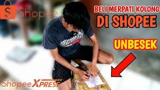 UNBESEK MERPATI GIRING KEKET BELI DARI SHOPEE