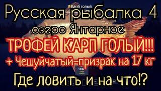 РР4. Озеро Янтарное. Где ловить ТРОФЕЙ Карп Голый+Чешуйчатый-призрак, Зеркальный, Рамчатый, Линейный