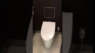 Japanese toilet