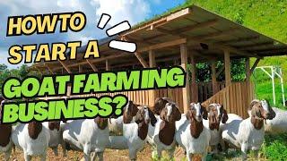 HOW TO START A GOAT FARMING BUSINESS? | STEP BY STEP TIPS!