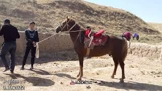 Ko'pkari Boshlandi  | Yakkabg' Turon 03,10.2022  1-qism #horse #alochi #kopkari