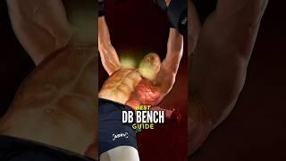 Best Dumbbell Bench Press Tutorial Ever Made