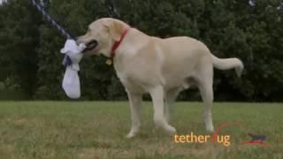 BIG Tether Tug | Interactive, Outdoor Play for Large & Strong Dogs