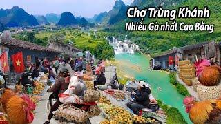 Chợ Trùng Khánh- Người dân bán gà ta nhiều vô kể- không đủ chỗ đứng chỗ ngồi