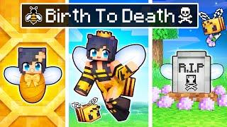 The BIRTH to DEATH of a Minecraft Bee!