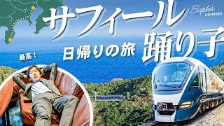 【東京～伊豆急下田】サフィール踊り子のグリーン車に乗りまくり！日帰り旅行