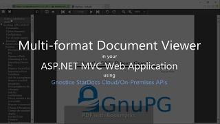 How to display PDF and Office documents in your ASP.NET Web Application (MVC) using StarDocs
