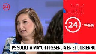 Socialismo democrático pide mayor participación en el Gobierno | 24 Horas TVN Chile