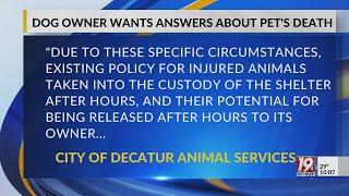 Dog Owner Wants Answers About Pet's Death | January 7, 2025 | News 19 at 10 p.m.