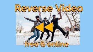 How to Reverse a Video: Free & Online