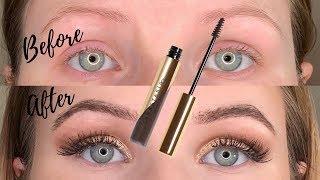 NEW Dipbrow Gel in Medium Brown | Anastasia Beverly Hills Review