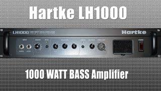 Hartke LH 1000 Bass Amplifier with Music Man Stingray