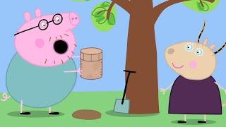 Peppa Pig Türkçe | Zaman Kapsülü | Çocuklar İçin Çizgi Filmler